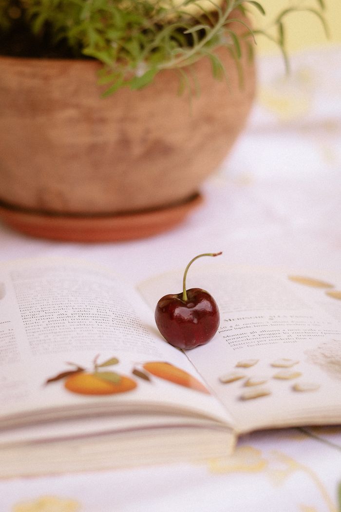 A vibrant cherry resting on an open book, with a rustic plant pot in the background.